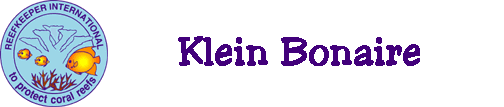 coral reef monitoring, reef monitoring, reefmonitor, reefmonitoring, klein bonaire, reef environmental assessment